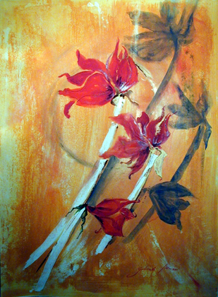 AMARYLLIS 46x62