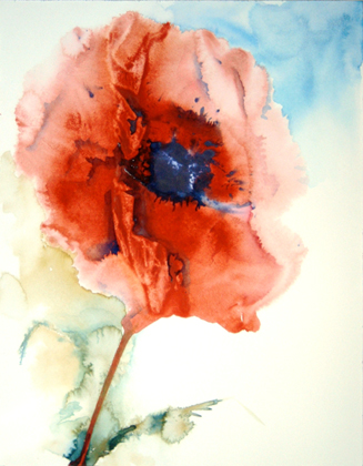 Mohn 2