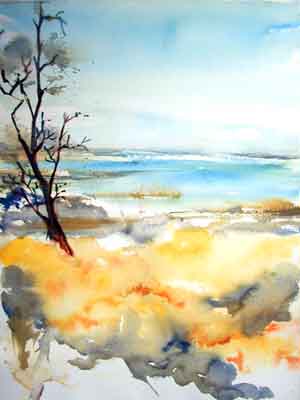Ginster am Bodden 35x47