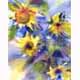 Sch13: Sonnenblumen I 35x47